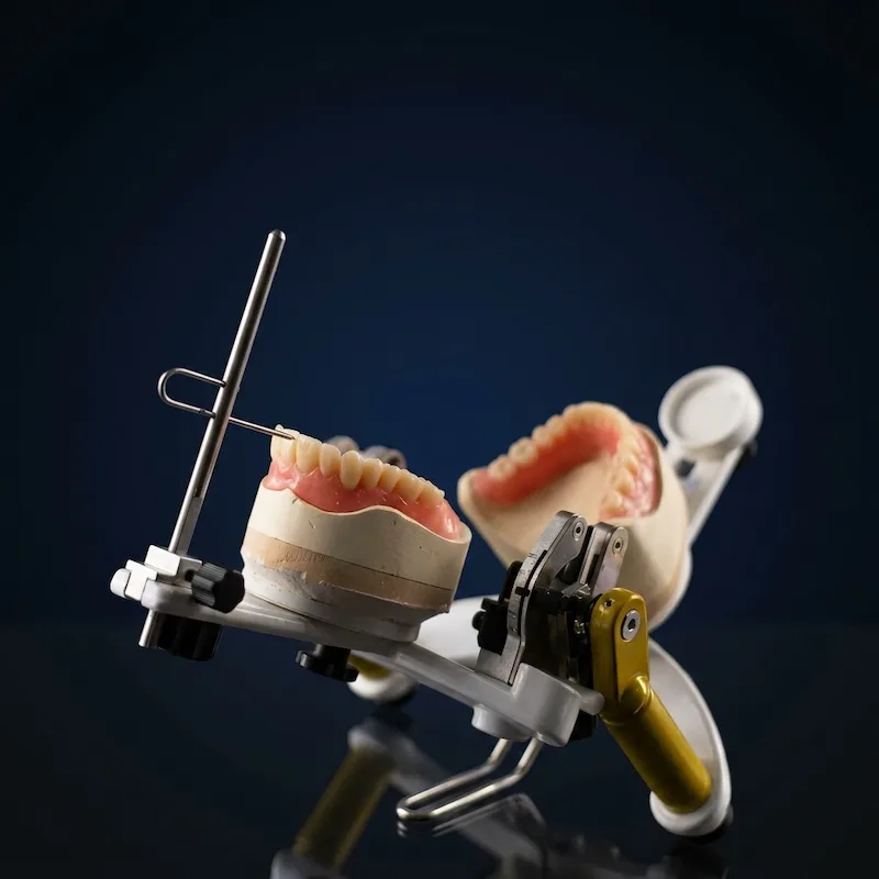 A precision-crafted Confi-Bio complete denture mounted on a professional articulator. Engineered at Confidentures, this tier utilizes BPS clinical protocols and the SEMCD technique to deliver uncompromising lower suction and tissue-borne stability without surgical intervention.